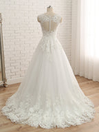 Eirene ivory back view wedding dress
