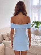 Calindra sky blue back view homecoming dress