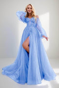 Elegant A Line Sweep Brush Train Tulle Prom Dress for Prom