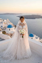 Elegant A Line Court Train Lace Tulle Wedding Dress Wedding Dress