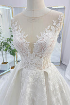 Elegant A Line Chapel Train Lace Tulle Wedding Dress Wedding Dress