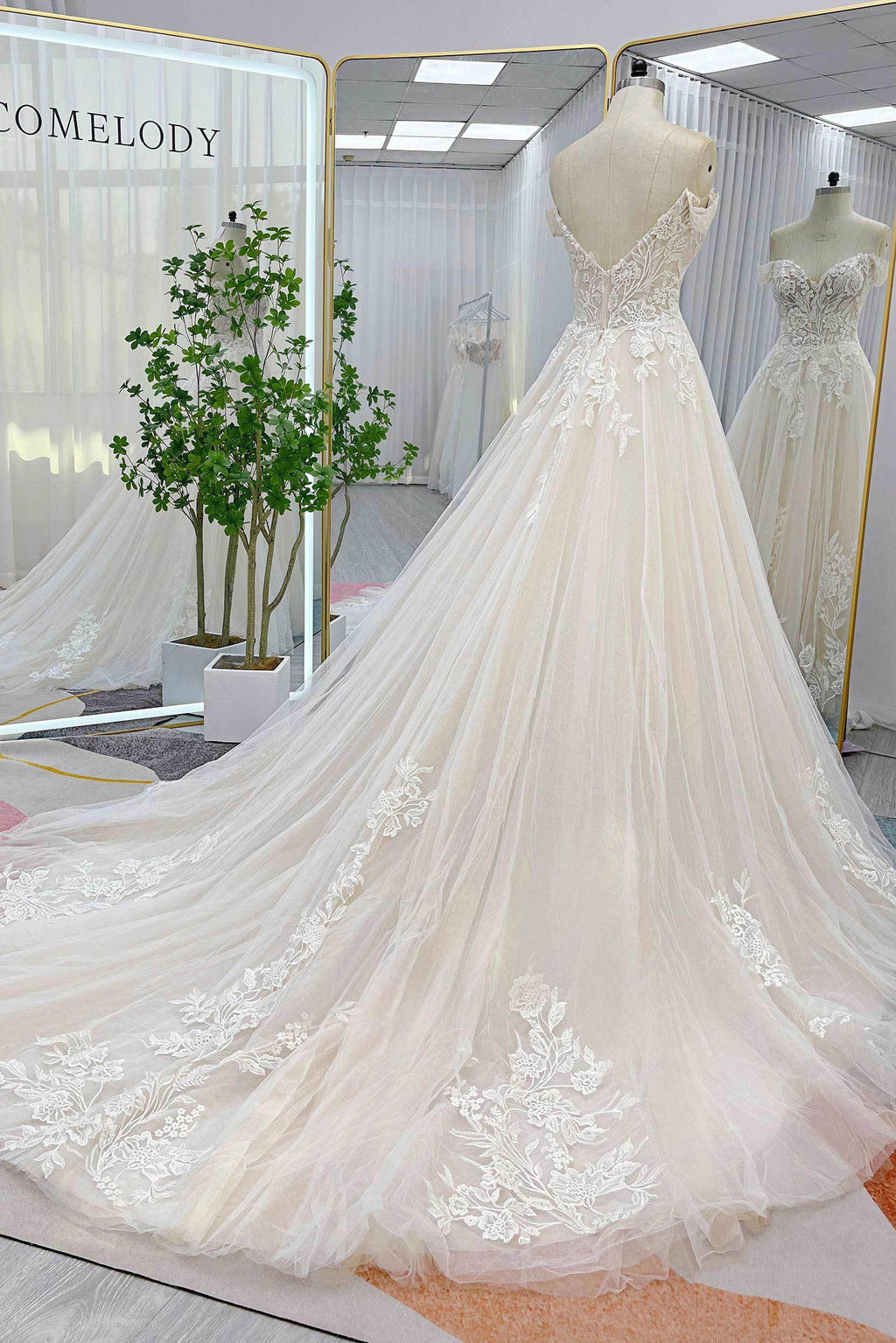 Elegant A Line Chapel Train Lace Tulle Wedding Dress Wedding Dress