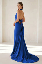 Petronella Rue Royal Blue back view prom dress