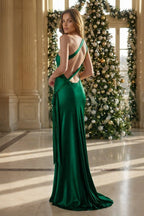 Iridessa Mae Emerald back view prom dress