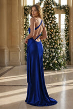 Iridessa Mae Royal Blue back view prom dress