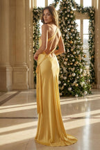 Iridessa Mae Yellow back view prom dress