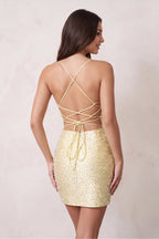 Fiorenza Champagne back view homecoming dress