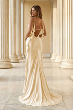 Wilhelmina Reese Champagne back view prom dress