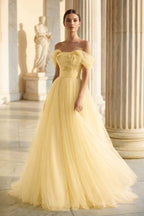 Sage Green Tulle Ball Gown Evening Dress with Off The Shoulder Neckline