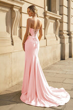 Valencia Noor Rose Pink back view prom dress