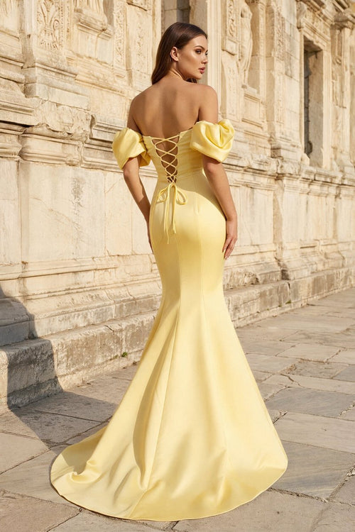 Aurelia Rose detail image 2 prom dress