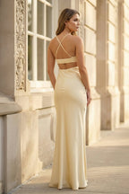 Champagne Spaghetti Straps Mermaid Satin Long Formal Dress