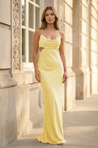 Champagne Spaghetti Straps Mermaid Satin Long Formal Dress