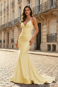 Verena Yellow back view evening dress